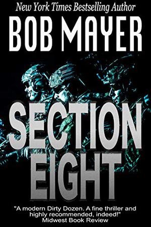 Section 8 (Shadow Warriors #5)