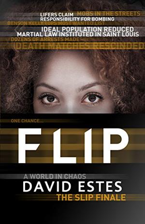 Flip by David Estes