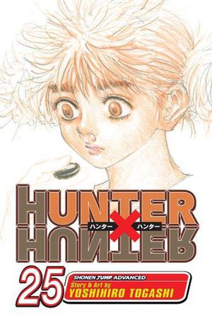 Hunter x Hunter, Vol. 25 (Hunter × Hunter #25)