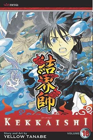 Kekkaishi, Vol. 16 (Kekkaishi #16)
