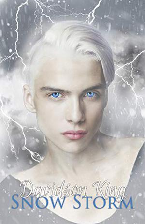 Snow Storm (Haven Hart #5)