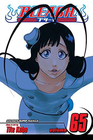 Bleach, Volume 65 (Bleach #65)