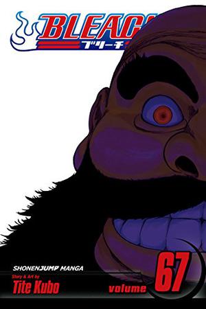 Bleach, Volume 67 (Bleach #67)