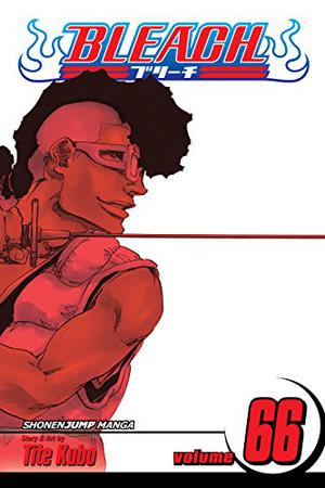 Bleach, Volume 66 (Bleach #66)