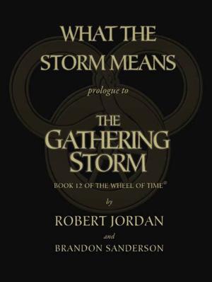 What the Storm Means: Prologue to The Gathering Storm (The Wheel of Time #prologue for 12)