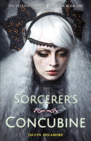 The Sorcerer's Concubine by Jaclyn Dolamore