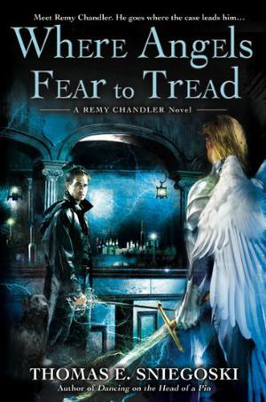Where Angels Fear to Tread (Remy Chandler #3)