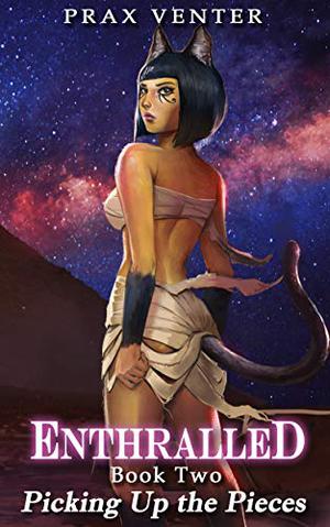 Picking Up the Pieces by Prax Venter