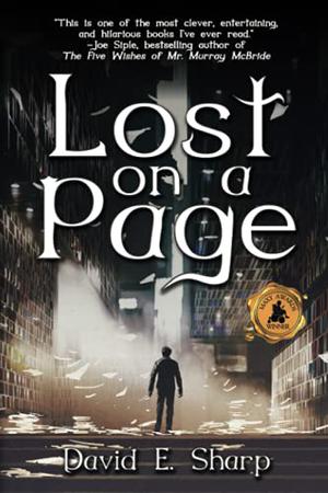Lost on a Page by David E. Sharp