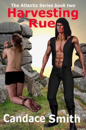 Harvesting Rue by Candace Smith