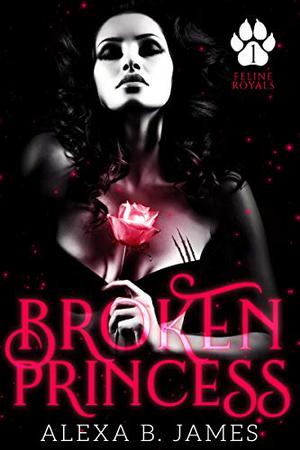 Broken Princess by Alexa B. James