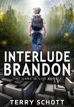 Interlude-Brandon (The Game is Life #3)