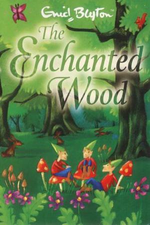 The Enchanted Wood (The Faraway Tree #1)