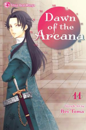 Dawn of Arcana 11 (Dawn of the Arcana #11)