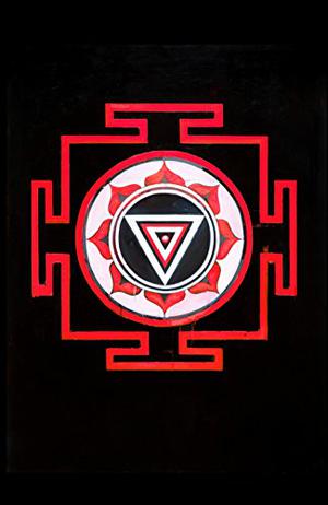 The Mountain Shadow by Gregory David Roberts