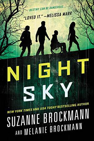 Night Sky (Night Sky #1)