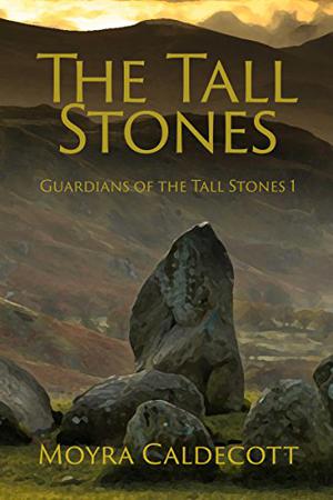 Die Hohen Steineein Roman Aus Der Bronzezeit (Guardians of the Tall Stones #1)