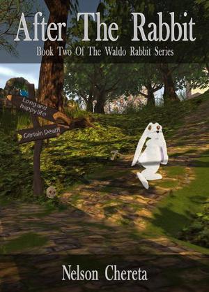 After the Rabbit (Waldo Rabbit #2)