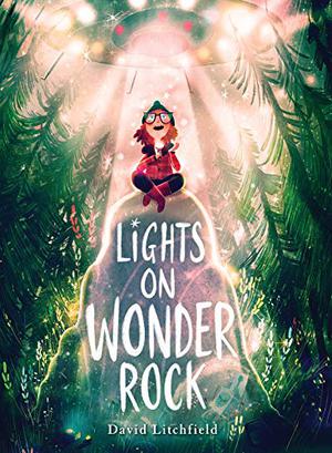 Lights on Wonder Rock by David Litchfield