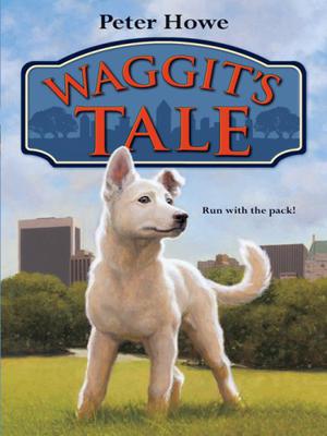 Waggit's Tale by Peter Howe, Omar Rayyan