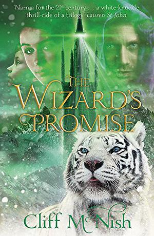 The Wizard's Promise (Doomspell #3)