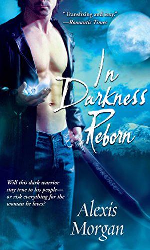In Darkness Reborn (Paladins of Darkness #3)