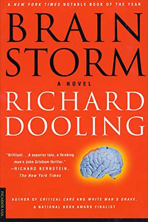 Brain Storm by Richard Dooling