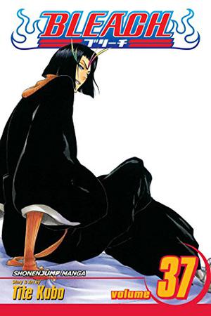 Bleach, Volume 37 (Bleach #37)
