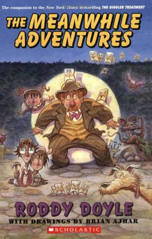 Meanwhile Adventures by Roddy Doyle