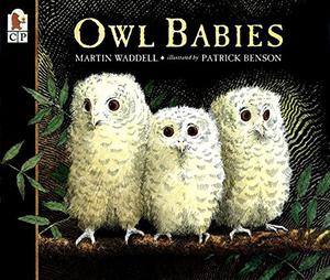 Owl Babies by Martin Waddell