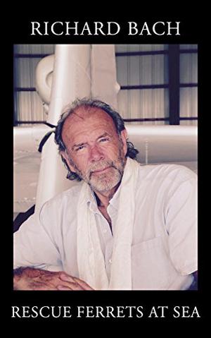 Rescue Ferrets at Sea (The Ferret Chronicles #2)