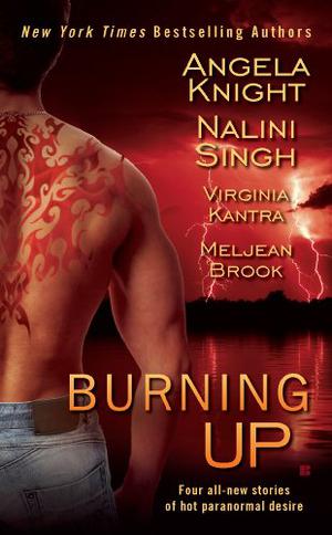 Burning Up (The Iron Seas #0.5)