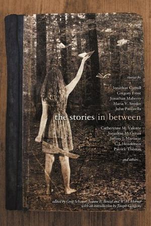 The Stories in Between: A Between Books Anthology by Jeffrey J. Mariotte, W.H. Horner, Maria V. Snyder, John Passarella, Gregory Frost, Catherynne M. Valente, C.J. Henderson, Jonathan Carroll, Mike McPhail, Danielle Ackley-McPhail, Patrick Thomas, Lawrence M. Schoen, Lawrence C. Connolly, Don Bethman, Jon McGoran, Henry Long, Jonathan Maberry, Jeff Mariotte, Walter Ciechanowski, Steve Ressel