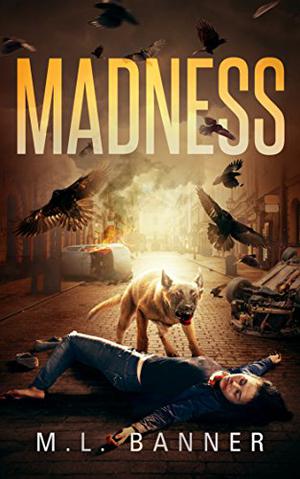 Madness (Madness Chronicles #1)