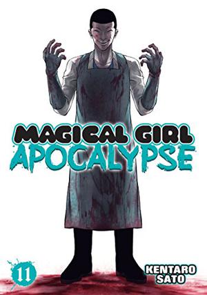 Magical Girl Apocalypse, Vol. 11 (Magical Girl Apocalypse #11)