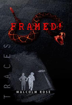 Framed! (Traces #1)