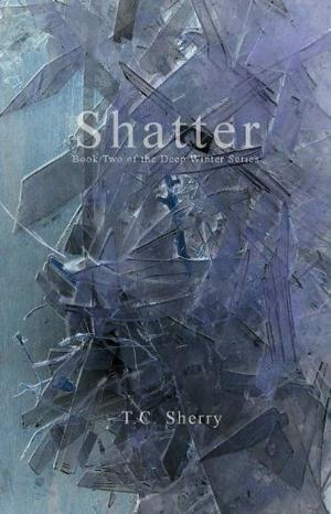 Shatter (Deep Winter #2)