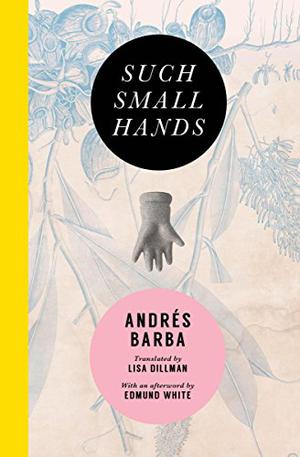 Such Small Hands by Andrés Barba, Edmund White