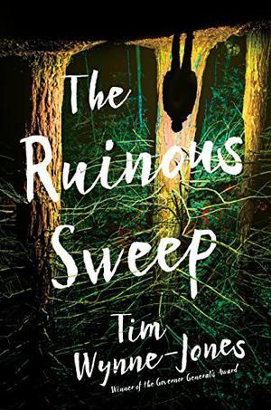 The Ruinous Sweep by Tim Wynne-Jones