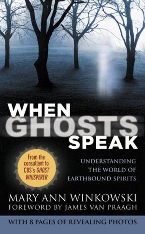 When Ghosts Speak: Understanding the World of Earthbound Spirits by Mary Ann Winkowski