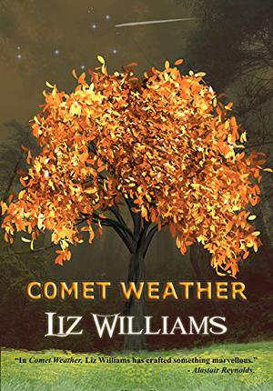 Comet Weather by Liz Williams