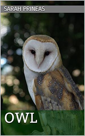 OWL: A Winterling story about Fer and Rook by Sarah Prineas