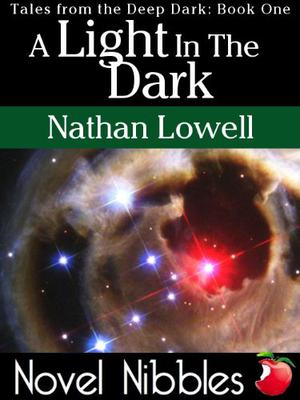 A Light In The Dark by Nathan Lowell