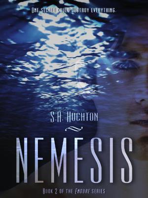 Nemesis (The Endure #2)