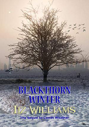Blackthorn Winter by Liz Williams