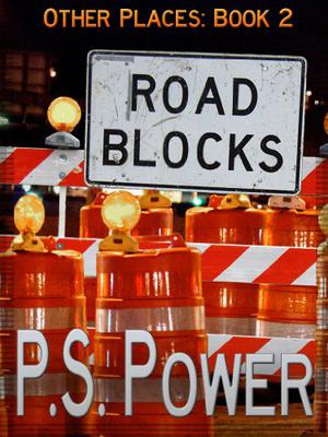 Road Blocks by P.S. Power