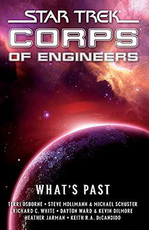 Star Trek Corps of Engineers: What's Past (Starfleet Corps of Engineers #13)