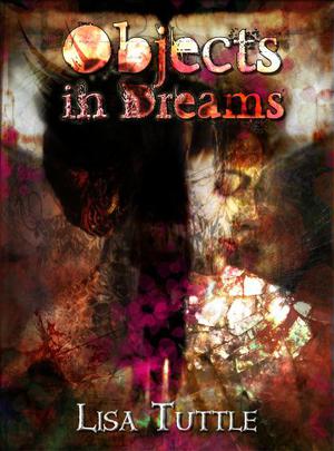 Objects in Dreams (Imaginings series #4)