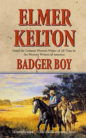 Badger Boy (Texas Rangers #2)