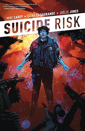 Suicide Risk, Vol. 2 by Mike Carey